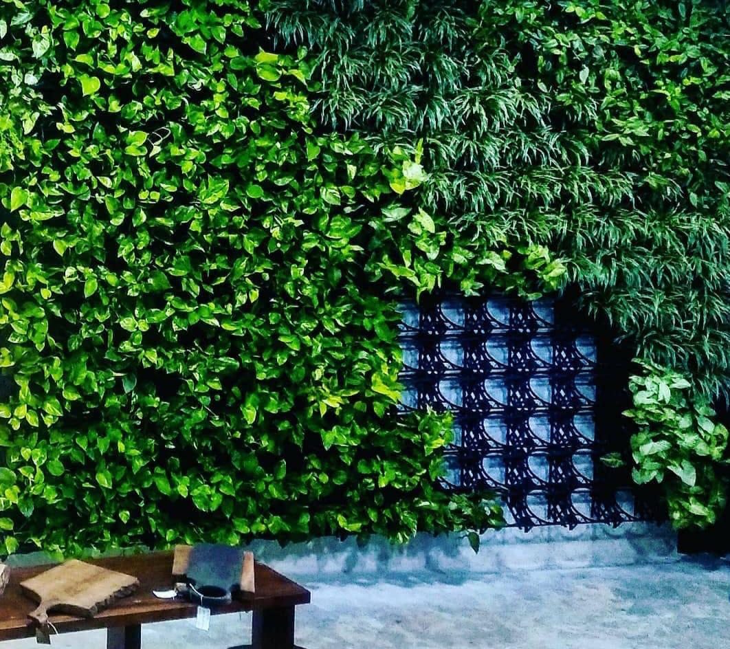 Jardim vertical com composição de espécies em área de convivência